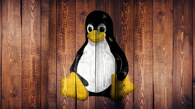 antiX Linux Doesn’t Fool Around – LinuxInsider
