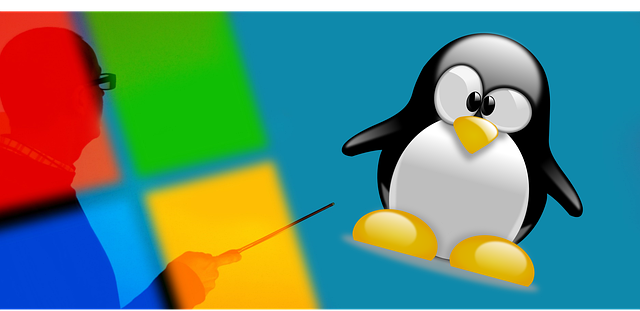 linux-640x480-10212910.png