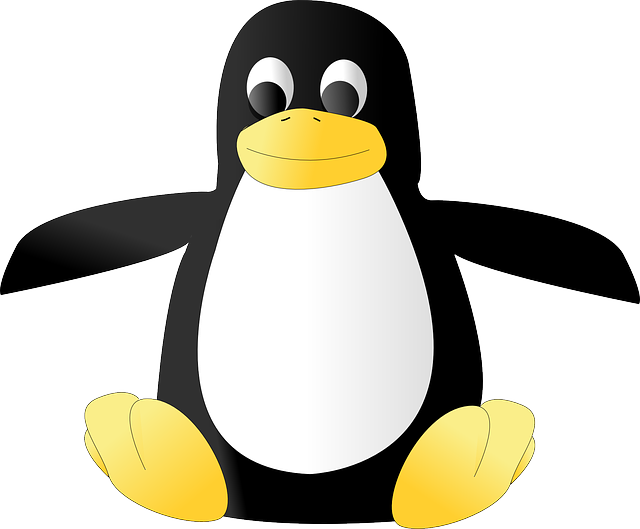 Linux