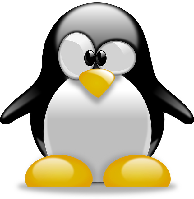 linux-640x480-13189337.png