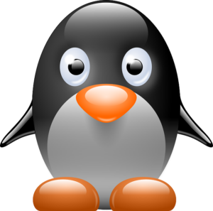 linux-640x480-18593620.png