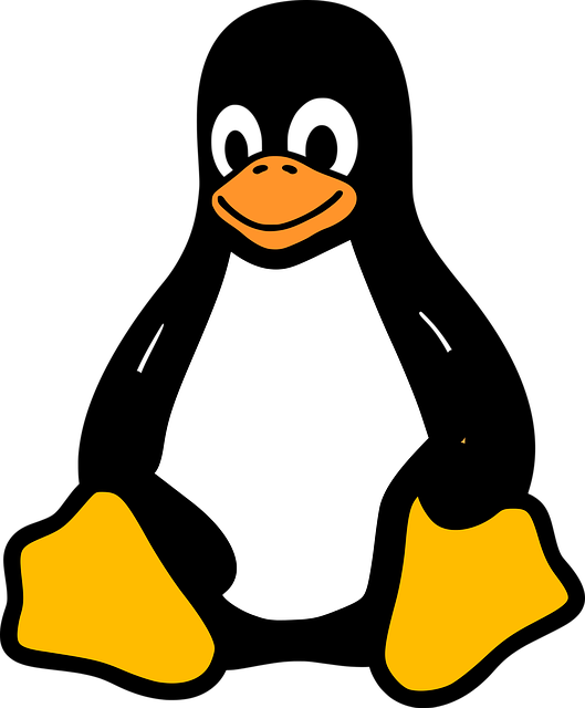 linux-640x480-20441335.png