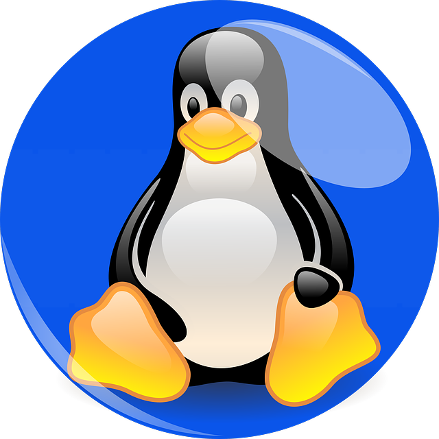 Maximizing Performance: Mastering MX Linux for Intensive Computing Tasks