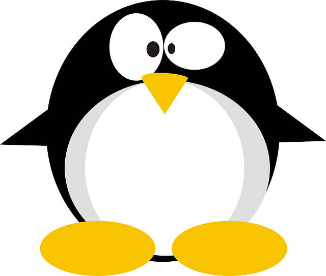 linux-640x480-25488575.png