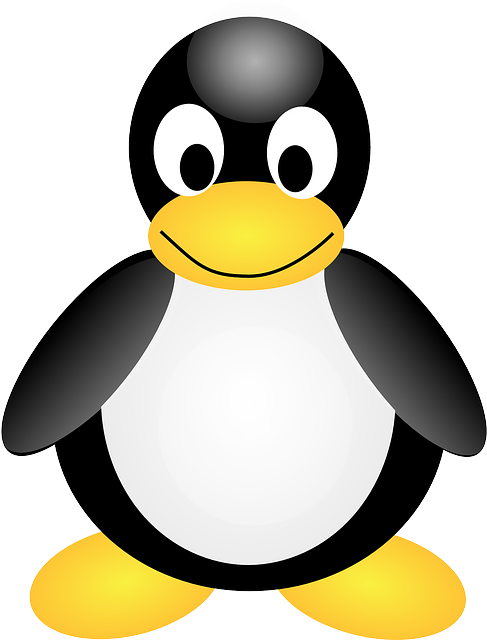 linux-640x480-25519704.png