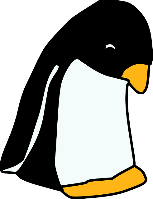 linux-640x480-26487794.png