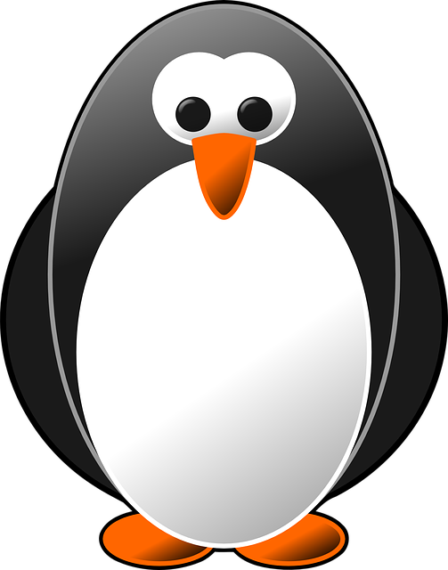 Linux