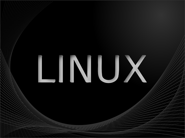 Community-Driven Success: Mint Linux’s Evolution Through Collaborative Development