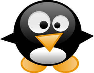 linux-640x480-29553367.png