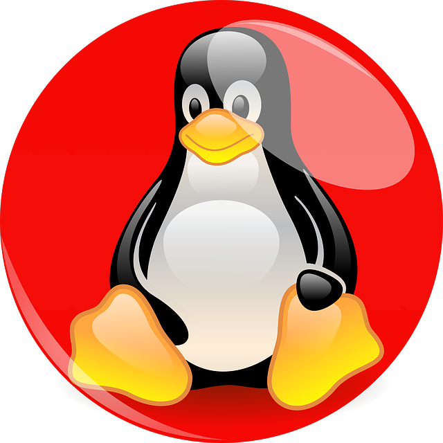 Maximizing Code Efficiency with Top Linux Server IDEs