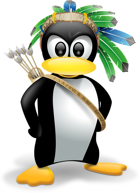 linux-640x480-30373143.png