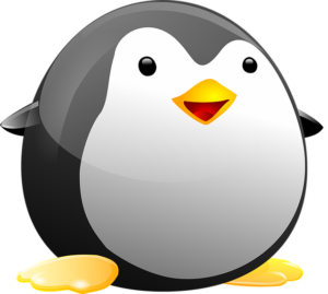 linux-640x480-33718560.png