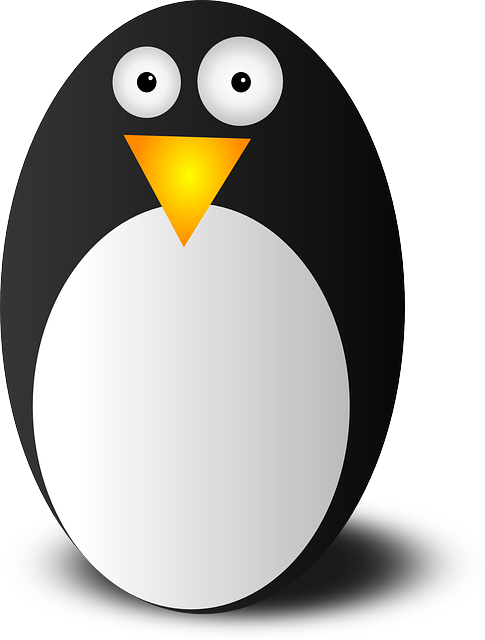 linux-640x480-33998089.png