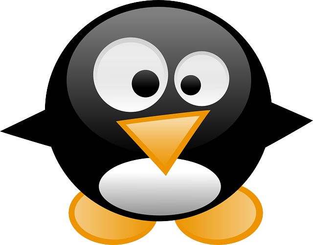 linux-640x480-35809805.png