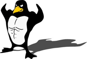 linux-640x480-39968524.png