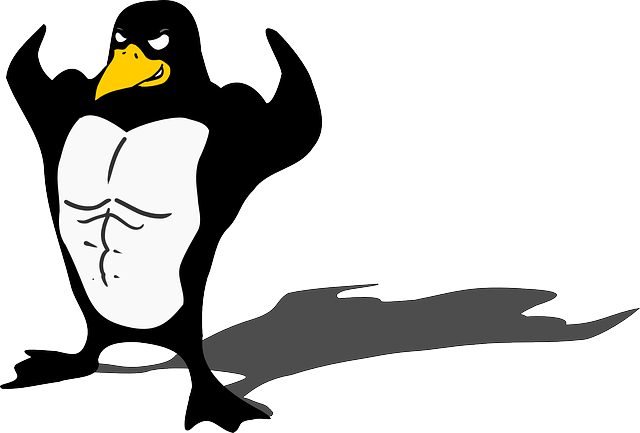 Linux Command-Line Excellence in Healthcare: Enhancing IT Efficiency