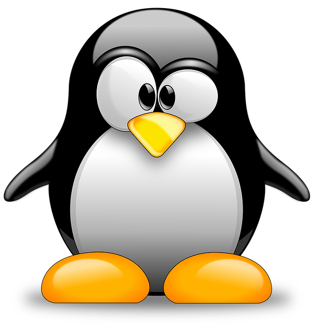 linux-640x480-40550996.png