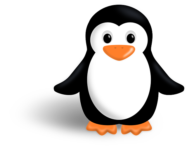 Linux