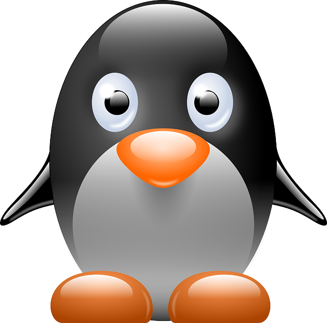 linux-640x480-48984528.png