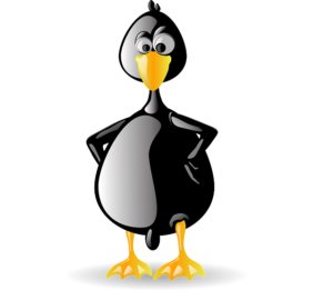 linux-640x480-62566848.png