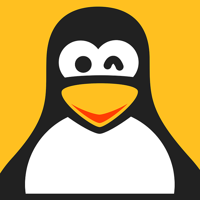 Enhancing User Experience with Customizable Linux Server Interfaces