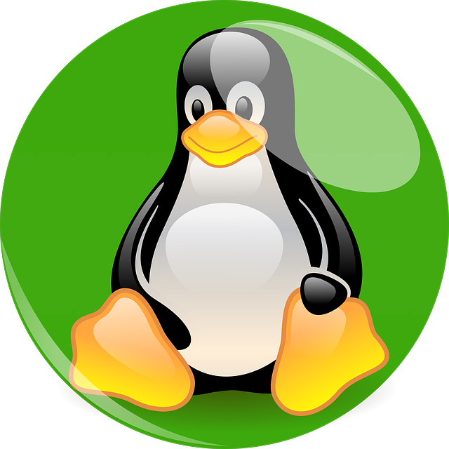 Linux Mastery for Small Businesses: Tailoring Systems for Maximum Efficiency